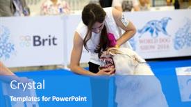  Presentation with judge - 