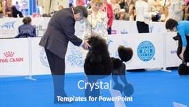  Presentation with judge - 