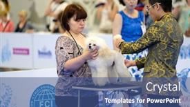  Presentation with judge - 