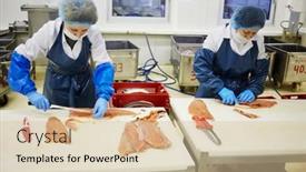  Presentation with fish processing - PPT layouts consisting of moscow-russia-may-18-2016 background and a lemonade colored foreground