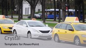  Presentation with sparrow - 