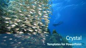  Presentation with tuna fish underwater in ocean - Slides featuring moses - underwater image of shoal background and a ocean colored foreground