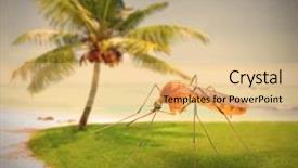  Presentation with dengue - Slide deck enhanced with mosquito on tropical beach dangerous background and a yellow colored foreground