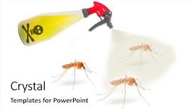  Presentation with digital healthcare - Beautiful slide set featuring mosquitos digital artwork on pest backdrop and a white colored foreground