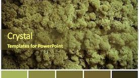  Presentation with green color maths - PPT theme featuring moss and palette of color background and a tawny brown colored foreground