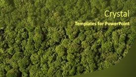  Presentation with green office - Presentation design having moss-background-and-wallpaper-green background and a tawny brown colored foreground