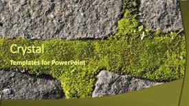  Presentation with igneous stones - Presentation theme having moss growing on cobble stones background and a tawny brown colored foreground