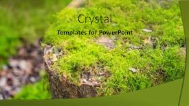  Presentation with gardens - Presentation featuring moss-is-used-for-gardens background and a gold colored foreground