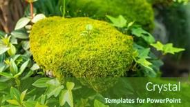  Presentation with gardens - Presentation theme consisting of moss-is-used-for-gardens background and a forest green colored foreground