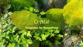  Presentation with bonsai - Slide set with moss-is-used-for-gardens background and a tawny brown colored foreground