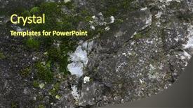  Presentation with moss - Amazing slide deck having moss on stones backdrop and a tawny brown colored foreground