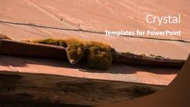  Presentation with moss - Audience pleasing theme consisting of moss-on-the-roof backdrop and a coral colored foreground