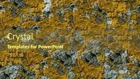  Presentation with portfolio - Beautiful PPT theme featuring moss seamless background see more seamless backgrounds in my portfolio backdrop and a tawny brown colored foreground