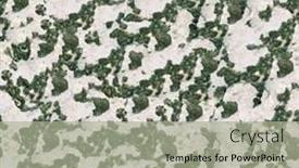  Presentation with moss - Colorful PPT theme enhanced with moss seamless background backdrop and a mint green colored foreground