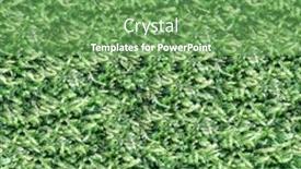  Presentation with moss - Audience pleasing slides consisting of moss seamless background backdrop and a seafoam green colored foreground