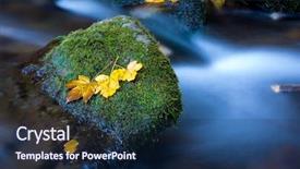  Presentation with bryophytes moss and lichen - Beautiful presentation theme featuring moss stone in mountain brook backdrop and a navy blue colored foreground
