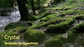  Presentation with moss - Amazing presentation theme having moss-stones-near-the-river backdrop and a tawny brown colored foreground