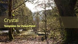  Presentation with moss - Beautiful slide set featuring moss tree in mountain george backdrop and a tawny brown colored foreground