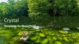  Presentation with queensland - 