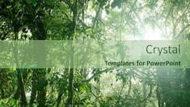  Presentation with malaysia - Audience pleasing presentation theme consisting of mossy-forest-cameron-highlands-malaysia backdrop and a mint green colored foreground