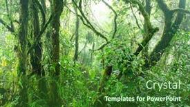  Presentation with malaysia - Cool new presentation design with mossy-forest-cameron-highlands-malaysia backdrop and a forest green colored foreground