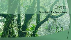  Presentation with malaysia - Presentation theme enhanced with mossy-forest-cameron-highlands-malaysia background and a seafoam green colored foreground