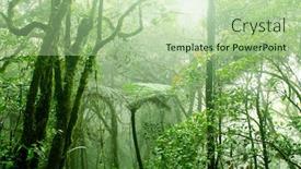  Presentation with malaysia - Amazing presentation having mossy-forest-cameron-highlands-malaysia backdrop and a mint green colored foreground
