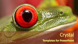  Presentation with animal eye - Cool new theme with most beautiful in the animal backdrop and a tawny brown colored foreground