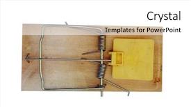  Presentation with white rat - Colorful theme enhanced with most popular rat trap design backdrop and a white colored foreground
