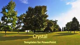  Presentation with green lawn - Presentation design enhanced with most romantic landscape park garden in italy lovely green grassy lawn at sunset background and a tawny brown colored foreground