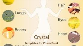  Presentation with foods - Beautiful slide set featuring most useful foods for human backdrop and a cream colored foreground