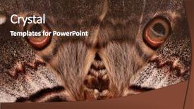  Presentation with butterfly - Amazing PPT theme having colorful vintage texture with different color patterns yellow beige purple violet blue pink backdrop and a gray colored foreground