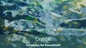  Presentation with moth - 