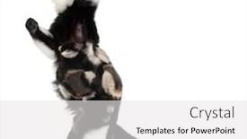  Presentation with black baby - PPT layouts featuring mother-and-baby-black background and a white colored foreground