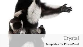  Presentation with black baby - Theme enhanced with mother-and-baby-black background and a white colored foreground