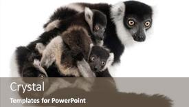  Presentation with black baby - Amazing PPT layouts having mother-and-baby-black backdrop and a tawny brown colored foreground