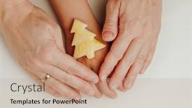 Presentation with child tree - Cool new theme with mother-and-child-holding backdrop and a coral colored foreground