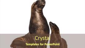  Presentation with lion - Theme featuring mother-and-cub-california-sea background and a tawny brown colored foreground