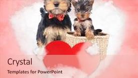  Presentation with mother love - Slide deck enhanced with mother and cub yorkshire terrier background and a lemonade colored foreground