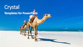  Presentation with summer camp diverse kids - Colorful presentation theme enhanced with mother and kids riding camel backdrop and a teal colored foreground