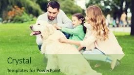  Presentation with domestic animal - PPT theme featuring mother baby dad - family pet domestic animal background and a yellow colored foreground