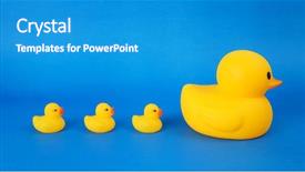  Presentation with babies - Slides with mother duck and babies background and a teal colored foreground