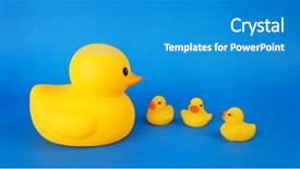  Presentation with babies - Audience pleasing slides consisting of mother duck and babies backdrop and a teal colored foreground
