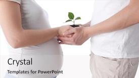  Presentation with sprout - Amazing presentation theme having happy pregnant family with green backdrop and a light gray colored foreground
