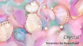  Presentation with pearl oyster - Presentation featuring mother-of-pearl-seashells-feathers background and a  colored foreground