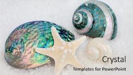  Presentation with salt - Audience pleasing PPT theme consisting of mother of pearl seashells backdrop and a lemonade colored foreground