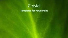  Presentation with develop - PPT layouts having mother-of-thousands-kalanchoe-daigremontiana background and a tawny brown colored foreground