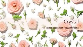  Presentation with pink rose - PPT theme featuring mother s day - pink rose petal on white background and a lemonade colored foreground