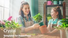  Presentation with child care - PPT layouts with mother to care for plants background and a coral colored foreground