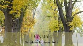  Presentation with mother tiger and lion - Presentation theme featuring mother with her daughter in autumnal alley background and a coral colored foreground